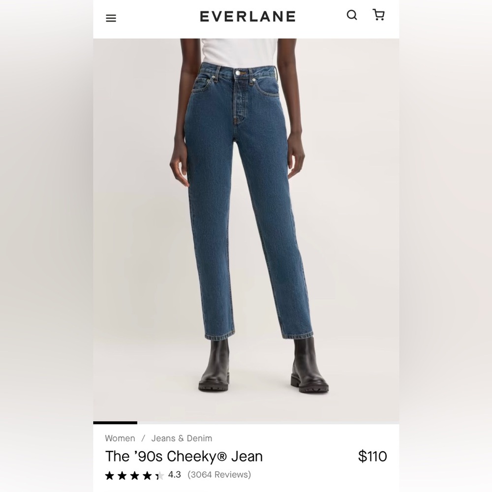 Everlane 90s Cheeky in Medium Blue, Size 27 Crop